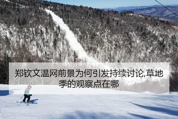 zheng-qin-wen-wen-wang-qian-jing-wei-he-yin-fa-chi-xu-tao-lun-cao-di-ji-de-guan-cha-dian-zai-na-2-464.jpg